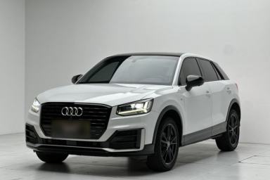 Used Audi Q2L 2020 35 TFSI Ambition Dynamic Edition