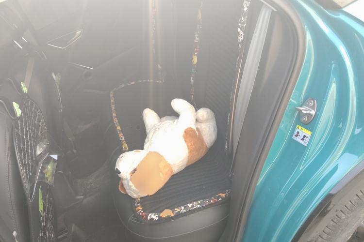 Used Audi Q2L 2021 35 TFSI Fashion Dynamic Model Left Rear Seat