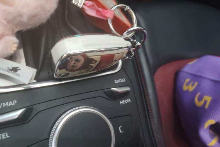 Used Audi Q2L 2021 35 TFSI Luxury Dynamic Model Vehicle Key