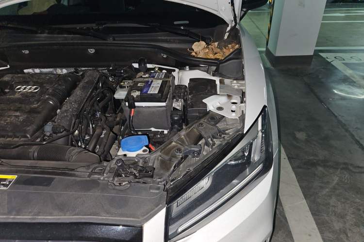 Used Audi Q2L 2021 35 TFSI Progressive Dynamic Edition Engine Bay Left