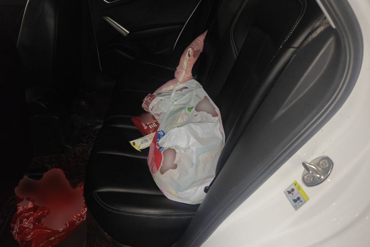 Used Audi Q2L 2021 35 TFSI Progressive Dynamic Edition Left Rear Seat
