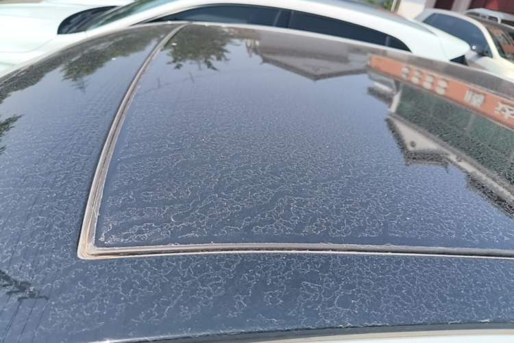 Used Audi Q2L 2021 35 TFSI Progressive Dynamic Edition Roof