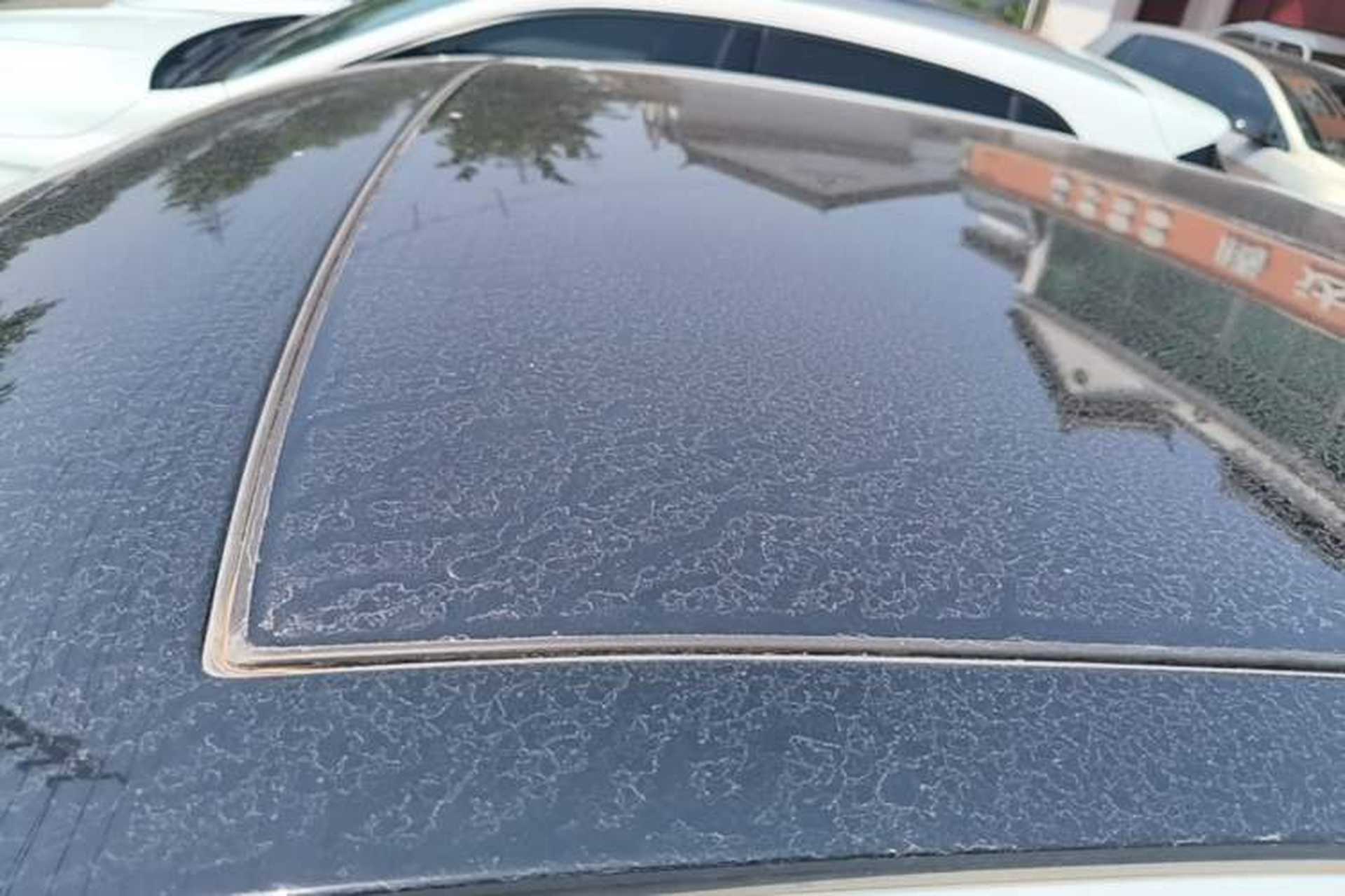 Used Audi Q2L 2021 35 TFSI Progressive Dynamic Edition Roof