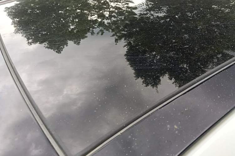 Used Audi Q2L 2021 35 TFSI Progressive Dynamic Edition Roof