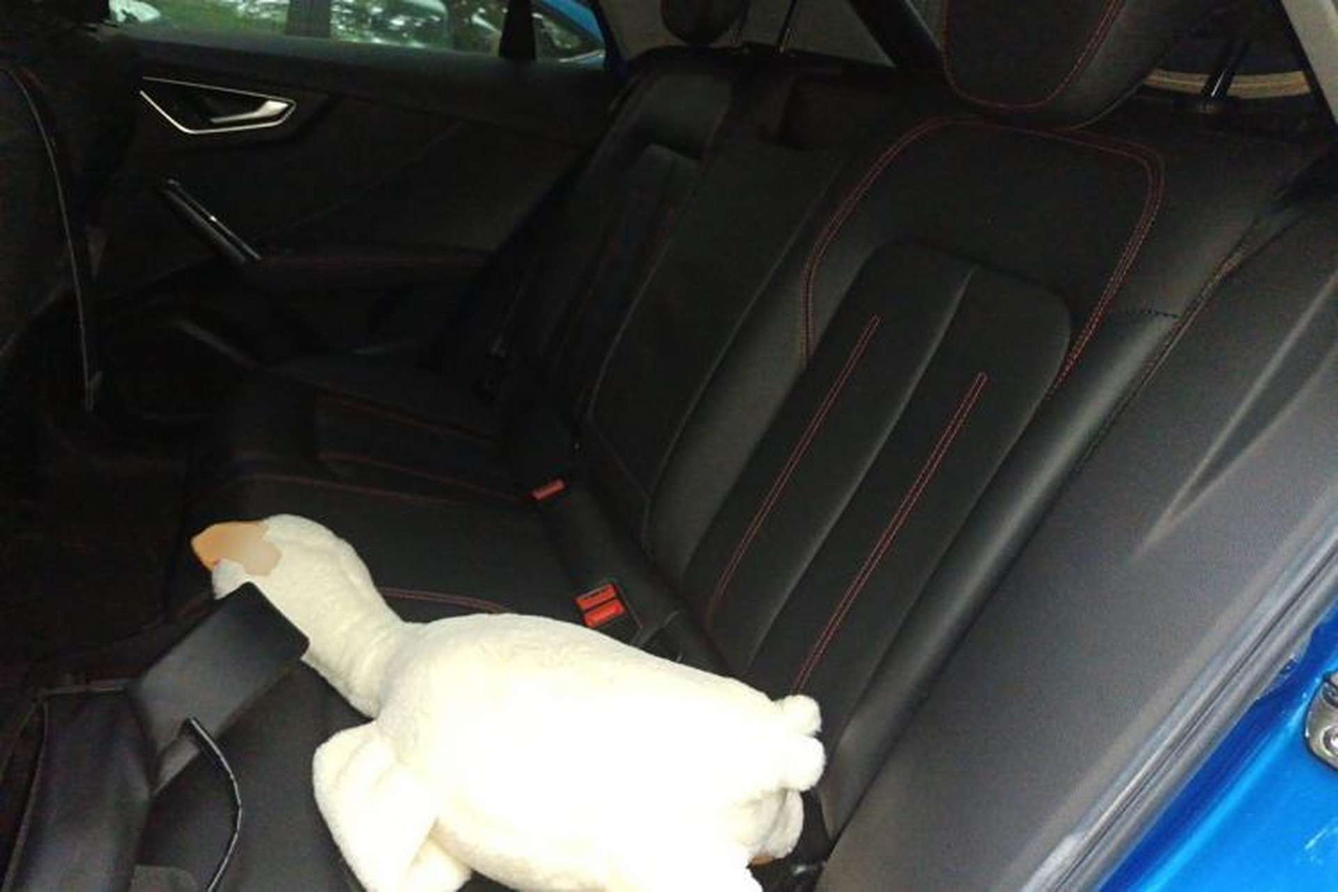 Used Audi Q2L 2022 35 TFSI Progressive Dynamic Edition Left Rear Seat