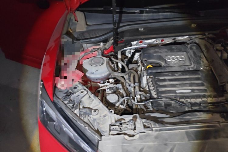 Used Audi Q2L 2022 35 TFSI Progressive Dynamic Edition Engine Bay Right
