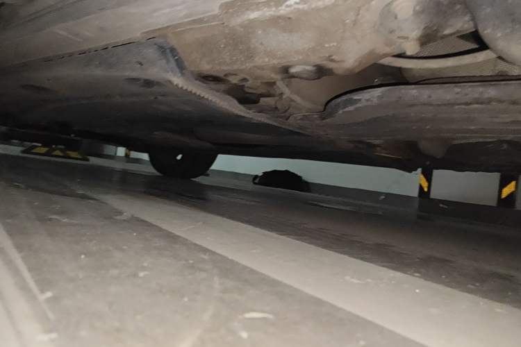 Used Audi Q2L 2022 35 TFSI Progressive Dynamic Edition Chassis Rear Left
