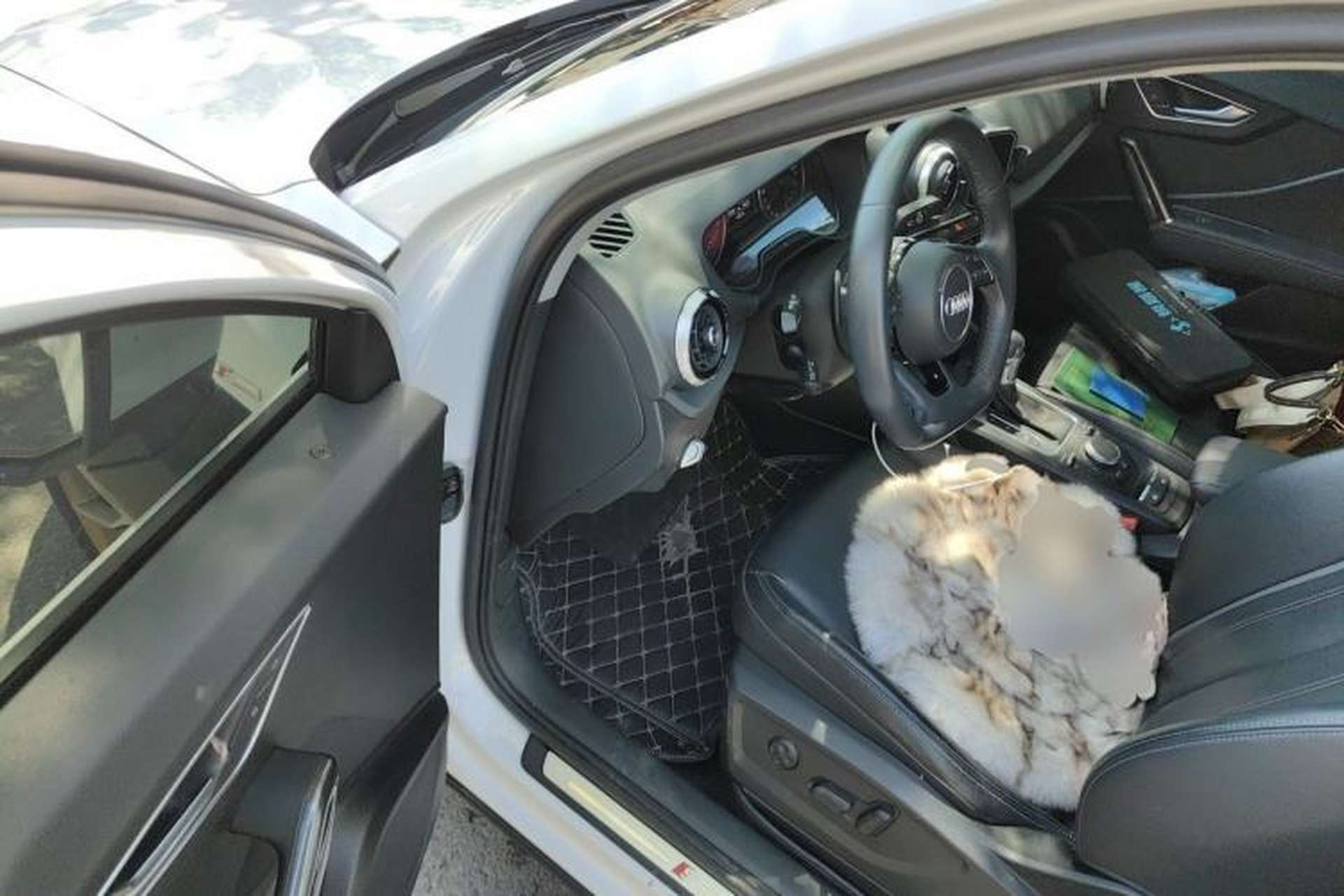 Used Audi Q2L 2022 35 TFSI Fashion Dynamic Model Driver Seat