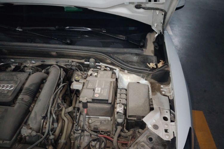 Used Audi Q2L 2022 35 TFSI Progressive Dynamic Edition Engine Bay Left