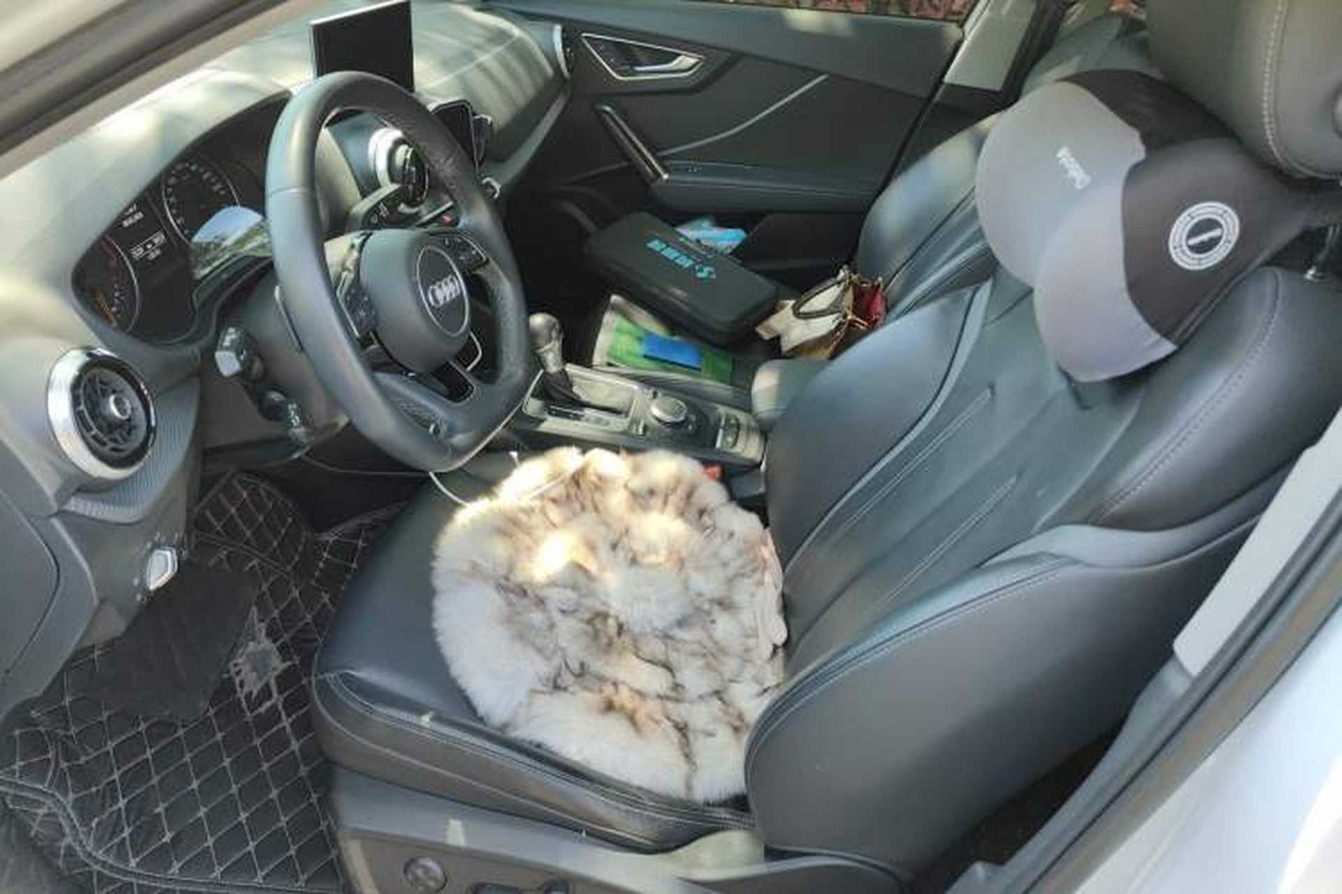 Used Audi Q2L 2022 35 TFSI Fashion Dynamic Model Left Front Seat