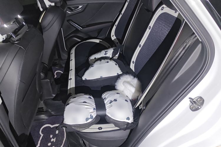 Used Audi Q2L 2022 35 TFSI Progressive Dynamic Edition Left Rear Seat