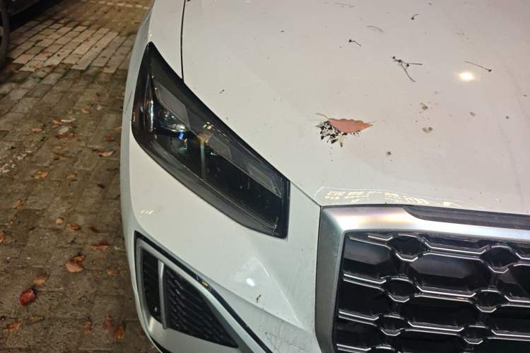 Used Audi Q2L 2022 35 TFSI Progressive Dynamic Edition Right Front Headlight