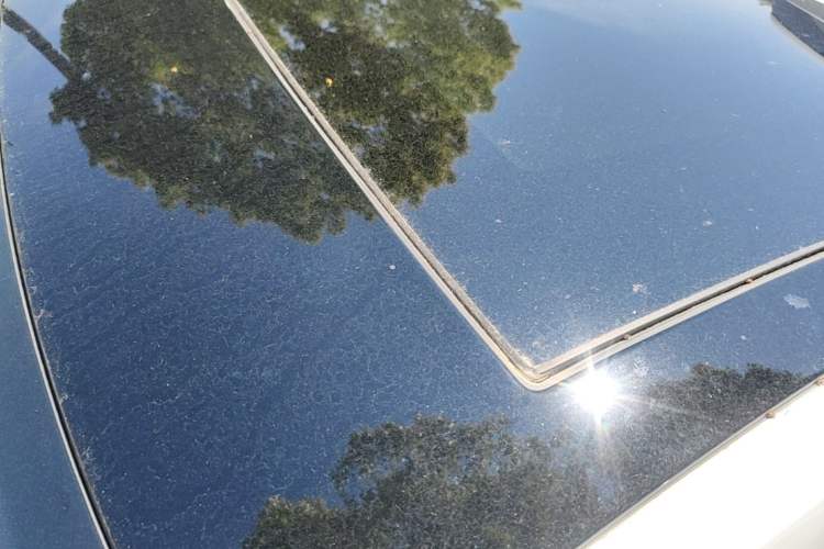 Used Audi Q2L 2022 35 TFSI Progressive Dynamic Edition Roof