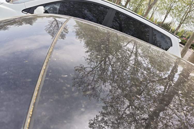 Used Audi Q2L 2022 35 TFSI Progressive Dynamic Edition Roof