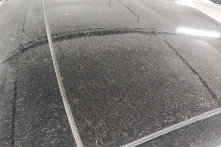 Used Audi Q2L 2022 35 TFSI Progressive Dynamic Edition Roof