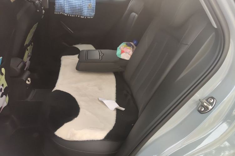 Used Audi Q2L 2023 35TFSI Fashion Dynamic Model Left Rear Seat