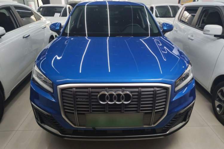 Used Audi Q2L e-tron 2019 Q2L e-tron Pure Electric Smart Style Exterior 1