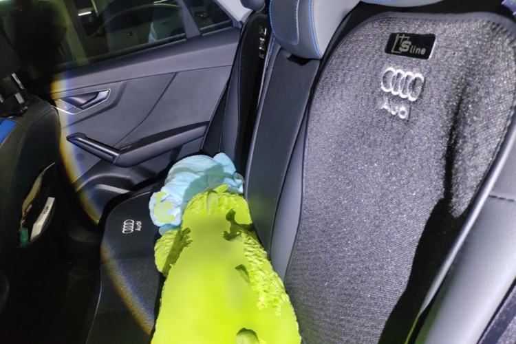 Used Audi Q2L e-tron 2019 Q2L e-tron Pure Electric Smart Enjoyment Model Left Rear Seat