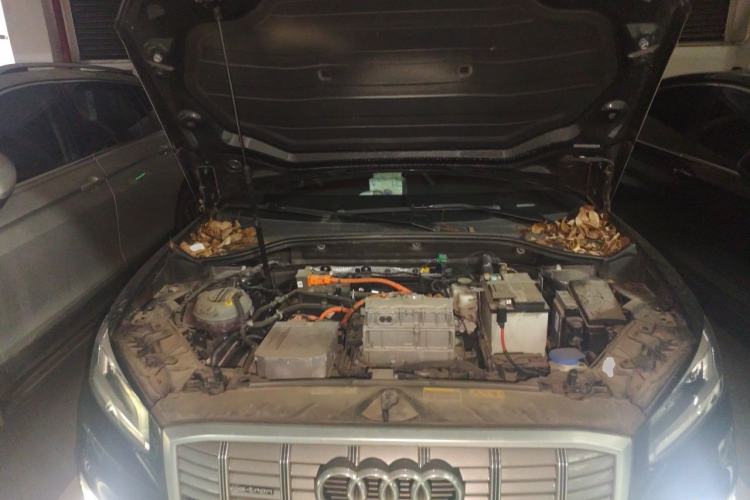 Used Audi Q2L e-tron 2019 Q2L e-tron Pure Electric Smart Style Engine Bay