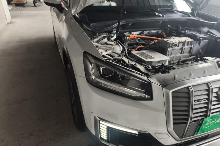 Used Audi Q2L e-tron 2019 Q2L e-tron Pure Electric Smart Style Exterior 6