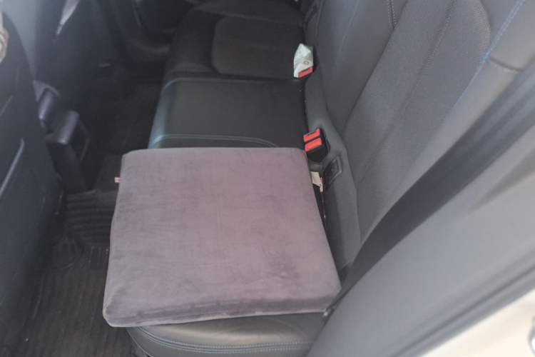 Used Audi Q2L e-tron 2019 Q2L e-tron Pure Electric Smart Style Left Rear Seat