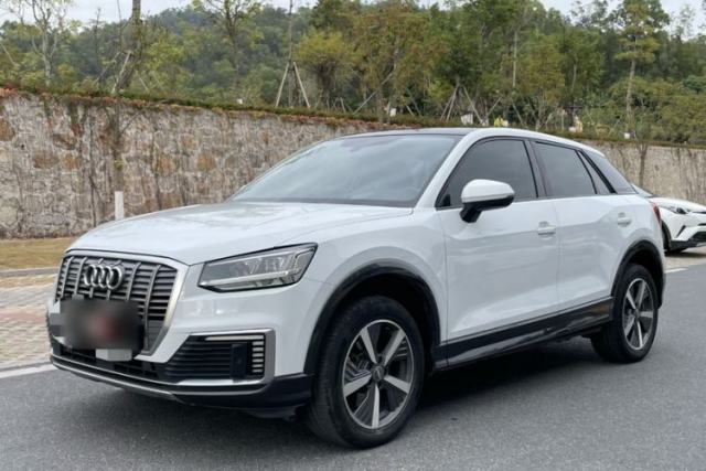 Audi Q2L e-tron 2019 Q2L e-tron Pure Electric Smart Enjoyment Model de segunda mano