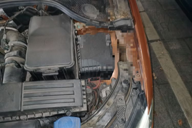 Used Audi Q3 2013 35 TFSI quattro Technology Edition Engine Bay Left