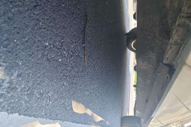 Used Audi Q3 2015 30 TFSI Comfort Model Chassis Front Left