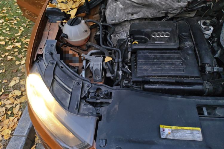 Used Audi Q3 2015 30 TFSI Ambition Edition Engine Bay Right