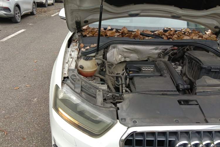 Used Audi Q3 2015 30 TFSI Ambition Edition Engine Bay Right
