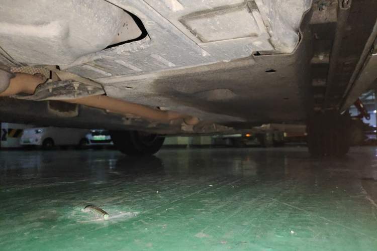 Used Audi Q3 2017 30 TFSI Fashion Model Chassis Rear Right