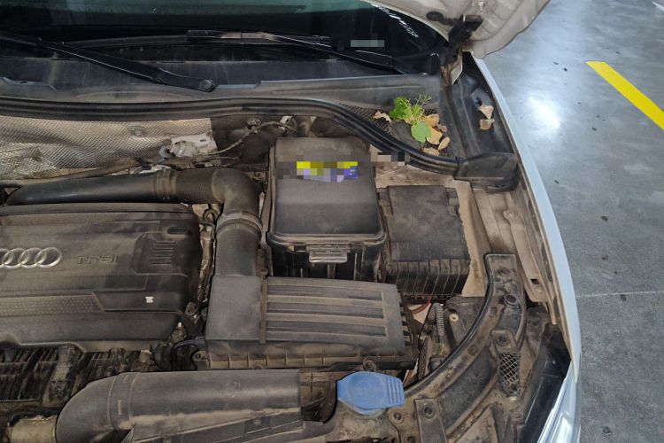 Used Audi Q3 2017 35 TFSI Fashion Model Engine Bay Left