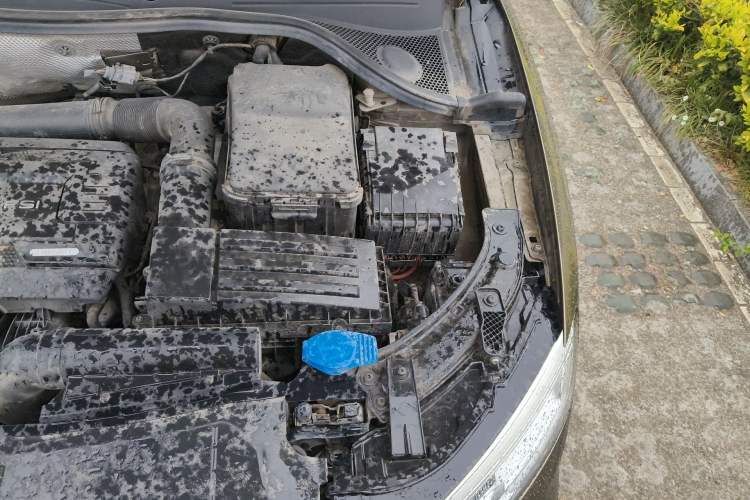 Used Audi Q3 2018 30th Anniversary Edition 35 TFSI Sport Model Engine Bay Left