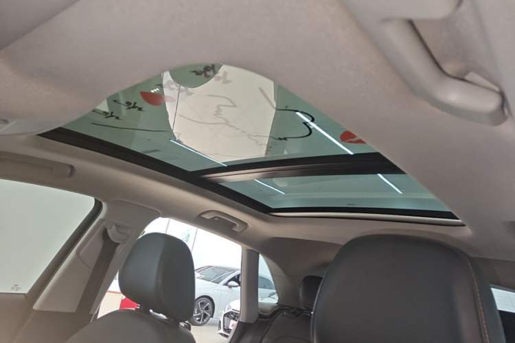 Used Audi Q3 2018 30 TFSI Fashion Edition Collector's Version Headliner