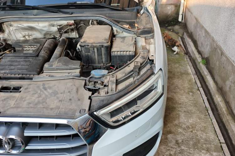 Used Audi Q3 2018 30th Anniversary Edition 30 TFSI Fashion Model Engine Bay Left