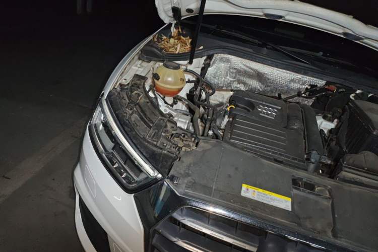 Used Audi Q3 2018 30th Anniversary Edition 30 TFSI Fashion Model Engine Bay Right