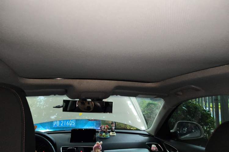 Used Audi Q3 2018 30 TFSI Fashion Edition Collector's Version Headliner