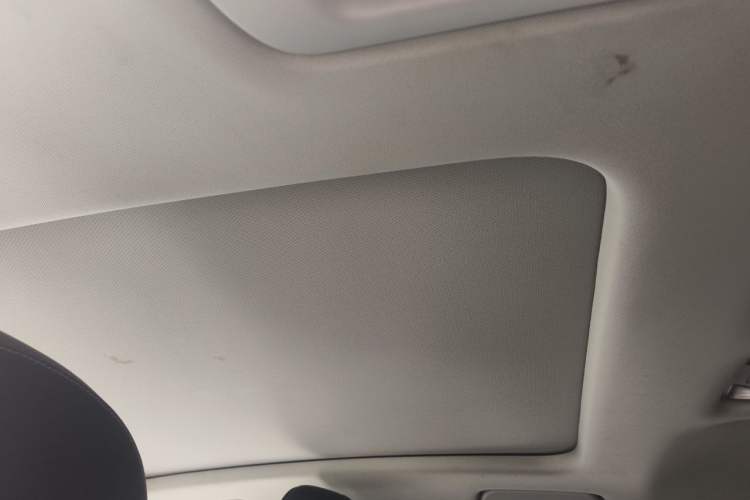 Used Audi Q3 2019 35 TFSI Fashion Dynamic Model Headliner