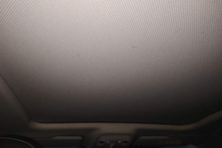 Used Audi Q3 2019 35 TFSI Fashion Dynamic Model Headliner
