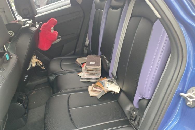 Used Audi Q3 2019 35 TFSI Fashion Dynamic Model Left Rear Seat