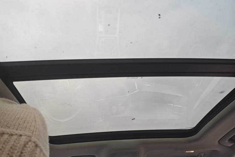 Used Audi Q3 2019 35 TFSI Advanced Dynamic Edition Headliner