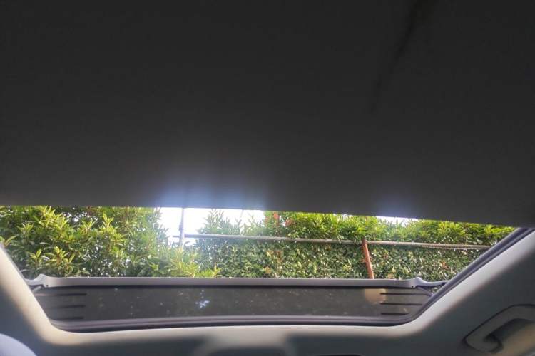 Used Audi Q3 2019 35 TFSI Fashion Dynamic Model Headliner