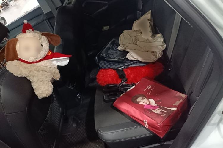 Used Audi Q3 2019 35 TFSI Fashion Dynamic Model Left Rear Seat