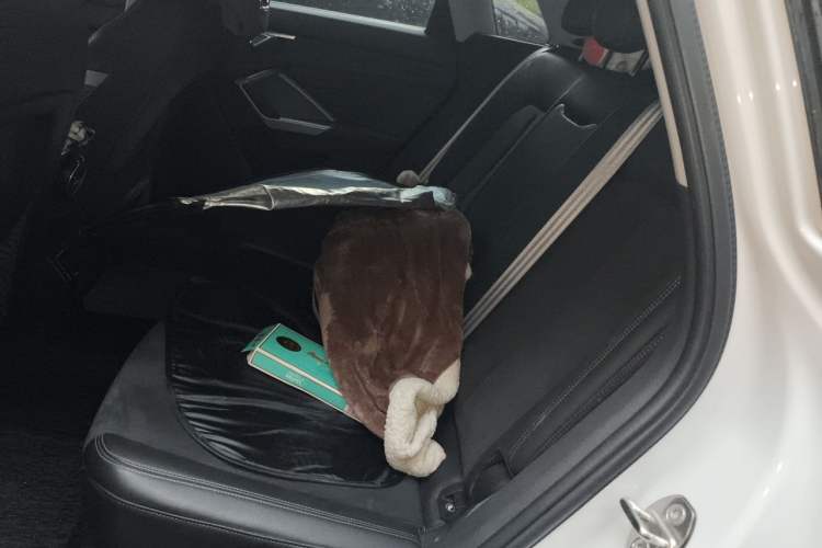 Used Audi Q3 2019 35 TFSI Fashion Dynamic Model Left Rear Seat