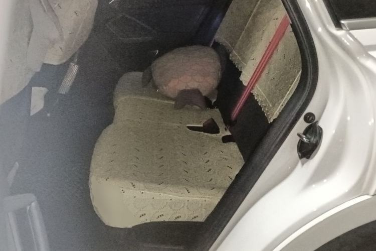 Used Audi Q3 2019 40 TFSI Fashion Dynamic Model Left Rear Seat