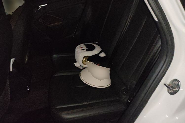 Used Audi Q3 2019 35 TFSI Fashionable and Elegant Model Left Rear Seat
