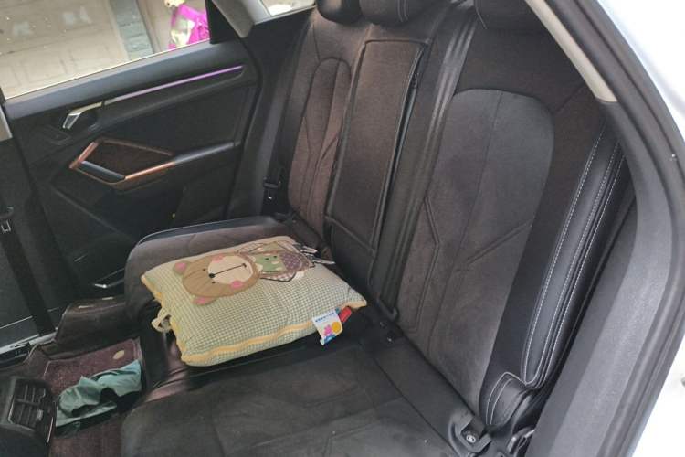 Used Audi Q3 2019 40 TFSI Fashionable and Elegant Model Left Rear Seat