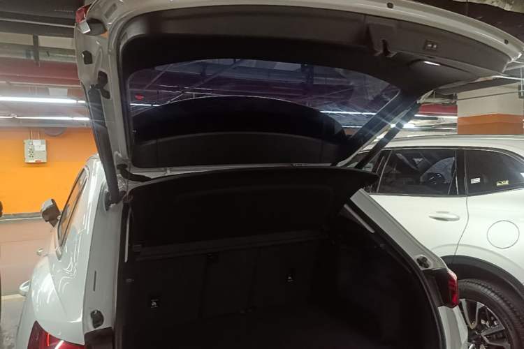 Used Audi Q3 2019 40 TFSI Fashion Dynamic Model Trunk