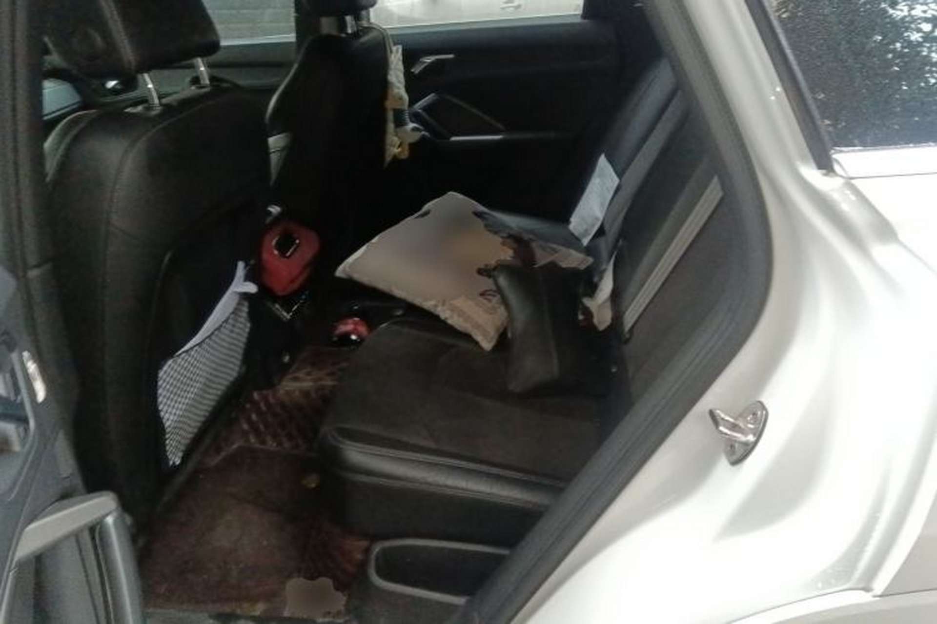 Used Audi Q3 2020 35 TFSI Fashion Dynamic Model Left Rear Seat
