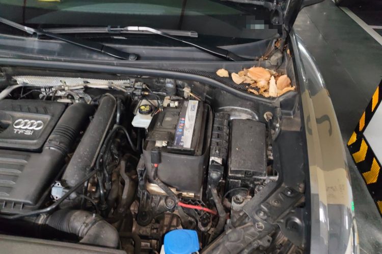 Used Audi Q3 2021 35 TFSI Fashion Dynamic Model Engine Bay Left